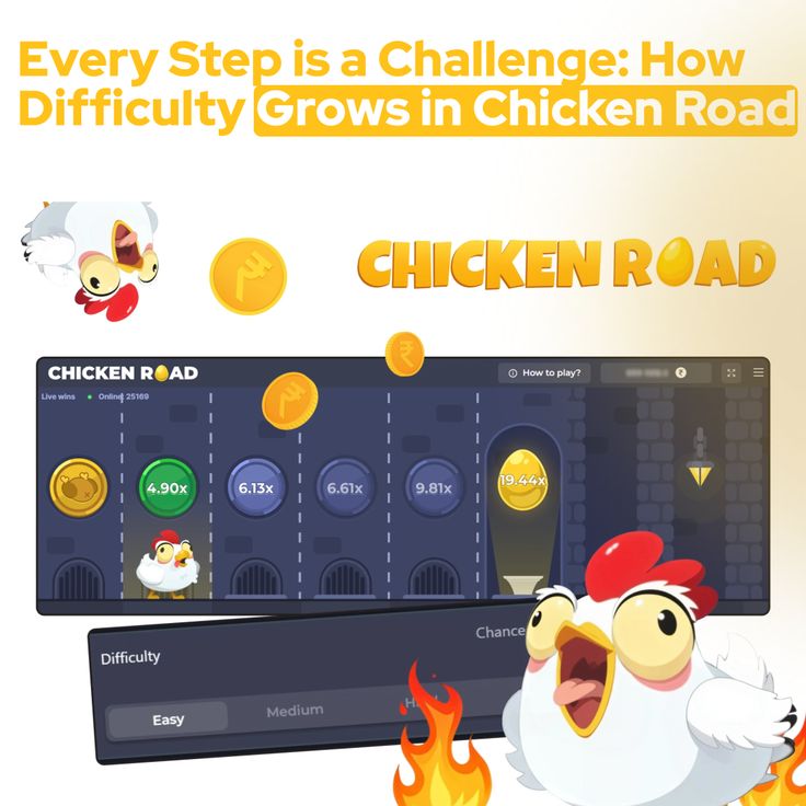 Chicken Road Anfänger 4